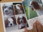 2012-09-24 13.44.16.jpg