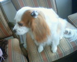 201202051046000.jpg