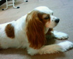 201207092106000.jpg