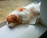 201204130801001.jpg