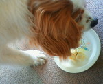 201205051300000.jpg